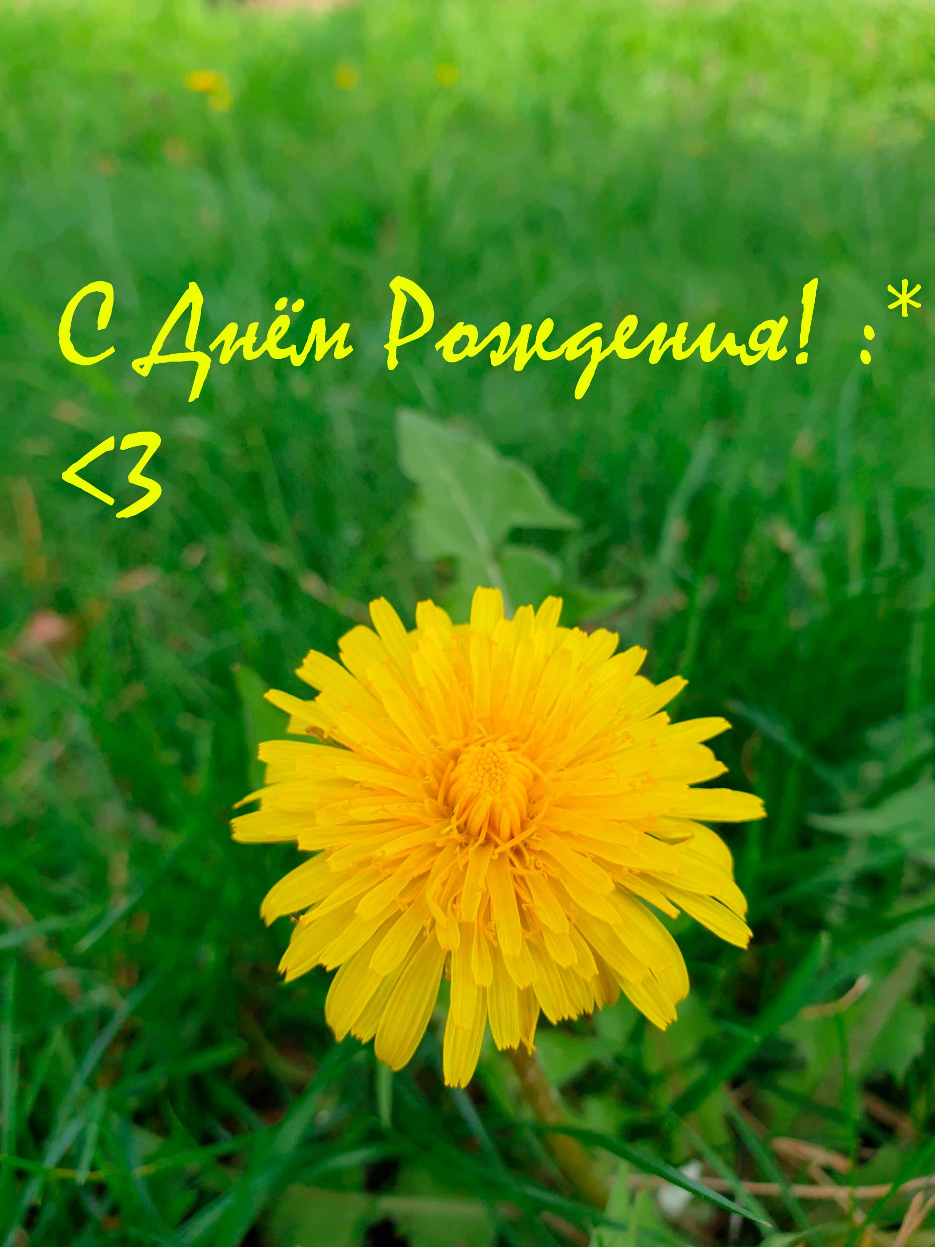 С Днём Рождения!